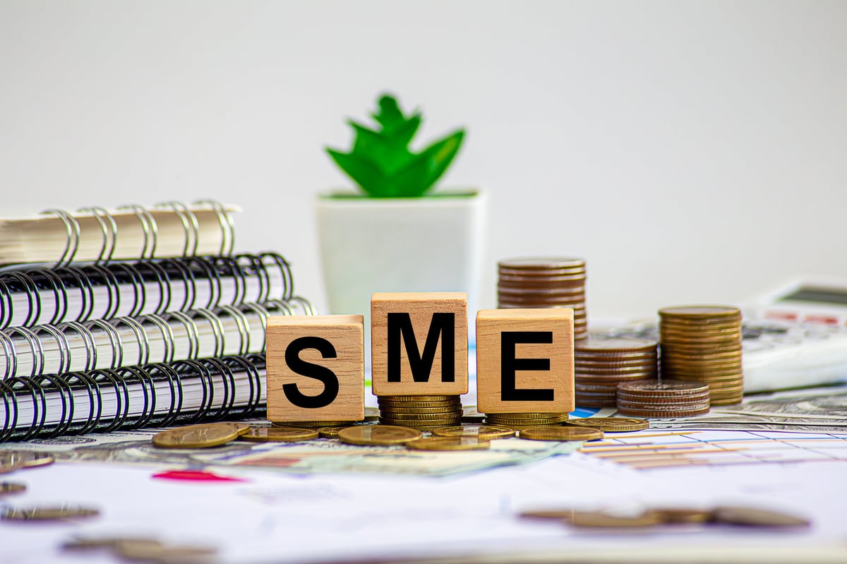Small and Medium Enterprises (SMEs) run by small entrepreneurs representing business ownership and cash flow